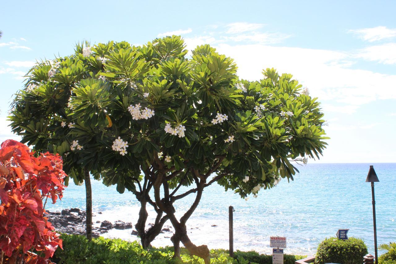 Kuleana Resort 618 拉海纳 外观 照片